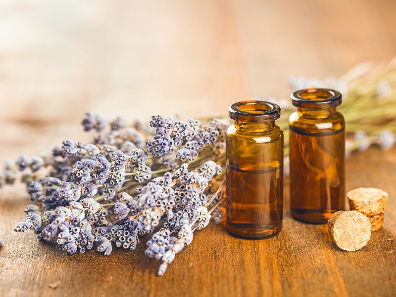desenvolvimento de aromas e óleos essenciais